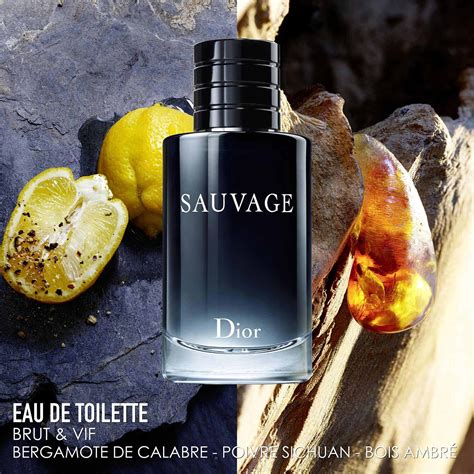 dior sauvage eau de parfum ou eau de toilette|sauvage eau de toilette 200ml.